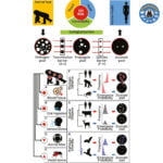 Animal Origin of Major Human Infectious Diseases