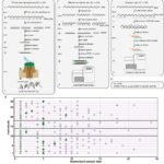 The Intra-Host Evolution of SARS-CoV-2 After Neutralizing Antibody Therapy, Revealed by Nanopore Sequencing