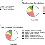 Development of a SYBR Green-Based RT-qPCR
