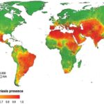 Transmission-Risk of Visceral Leishmaniasis