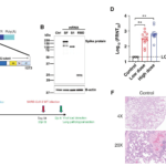 Long-Term Protection from SARS-CoV-2