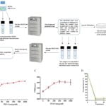 Mycobacterium Tuberculosis Persister Cell Formation after Pyrazinamide Exposure