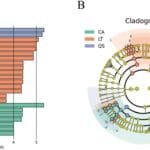 Microbial Composition of Haemaphysalis longicornis in Shaanxi Province, Determined Through Next-Generation Sequencing