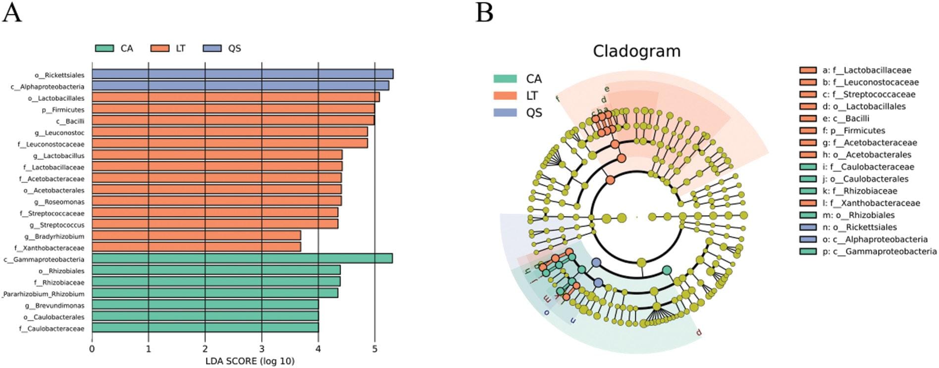 Microbial Composition of Haemaphysalis longicornis in Shaanxi Province
