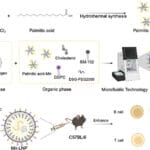 Manganese-Coordinated Lipid Nanoparticles for Co-Delivery of VZV Antigen Vaccine