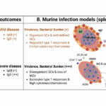 Orientia tsutsugamushi