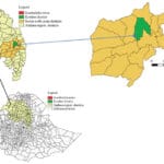 Listeria monocytogenes