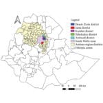 Brucellosis - Preventive measures reduce transmission risks