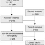One Health models for bacterial zoonoses